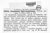 Fusidium ravenelianum image